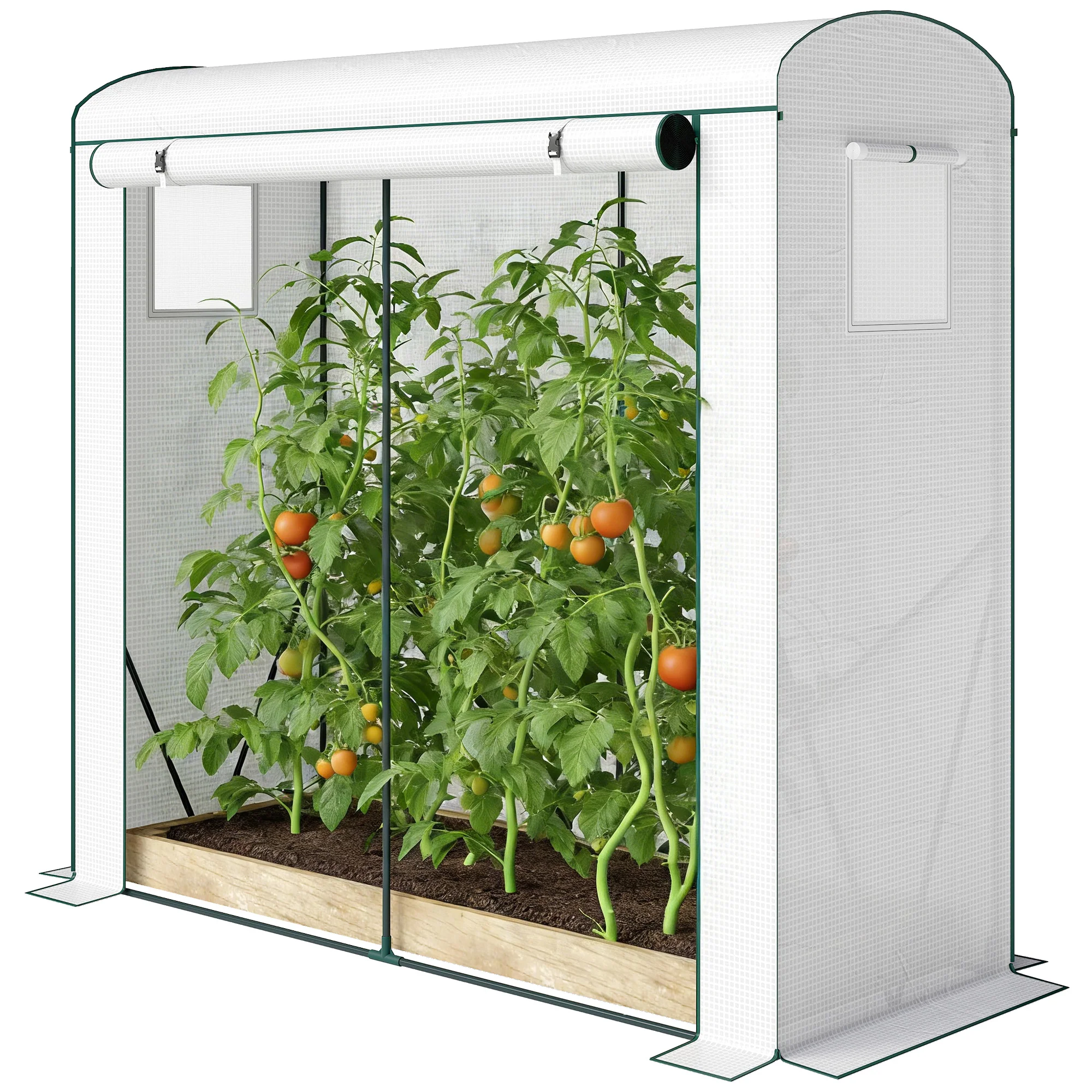 Mini Greenhouse, Portable Greenhouse with Roll-Up Door and 2 Mesh Windows, Small Green House with PE Cover for Garden Patio Lawn, 78.7" x 29.5" x 74", White - Image 2
