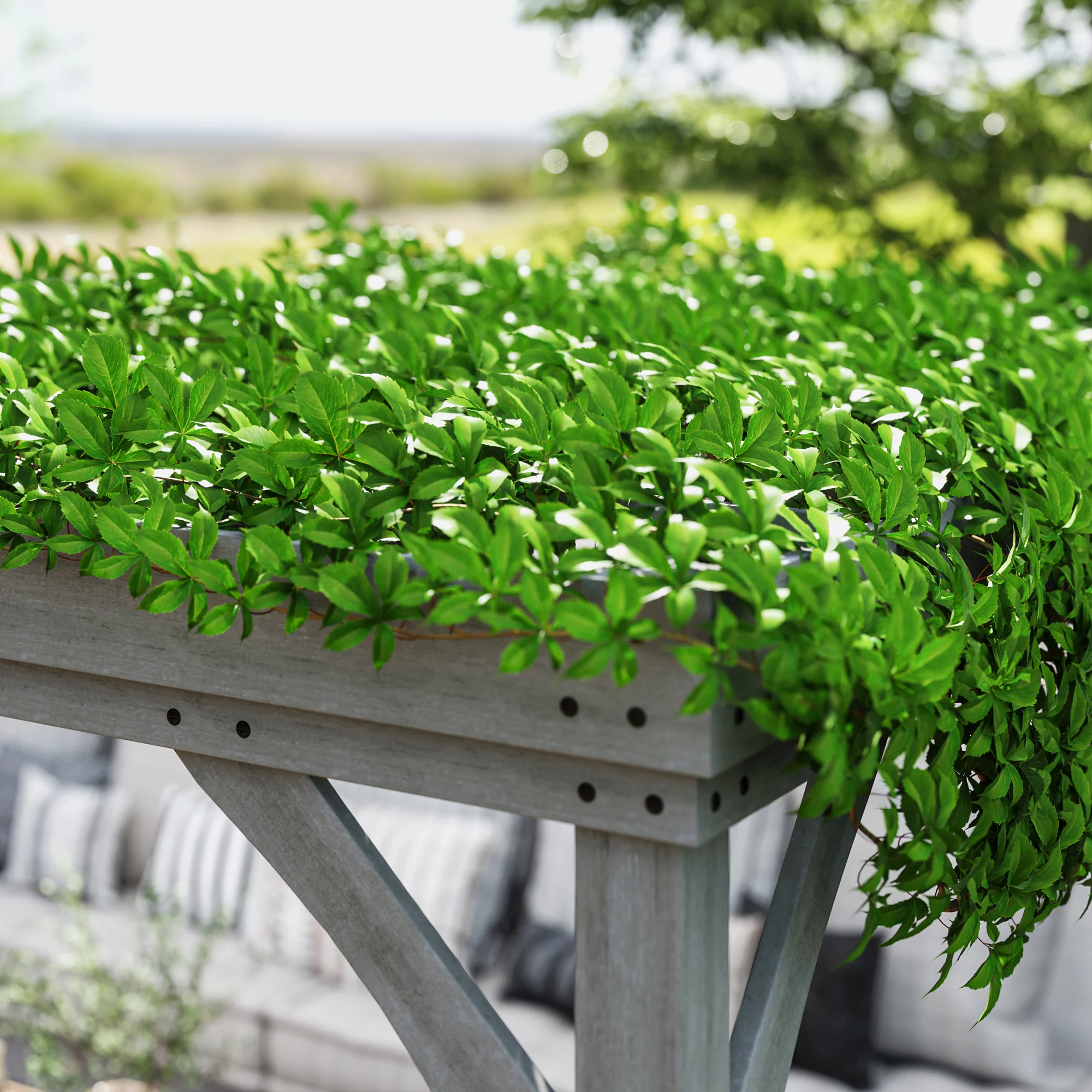 12' x 20' Wooden Pergola with Grape Vine Design & Concrete Anchors, Gray - Image 10